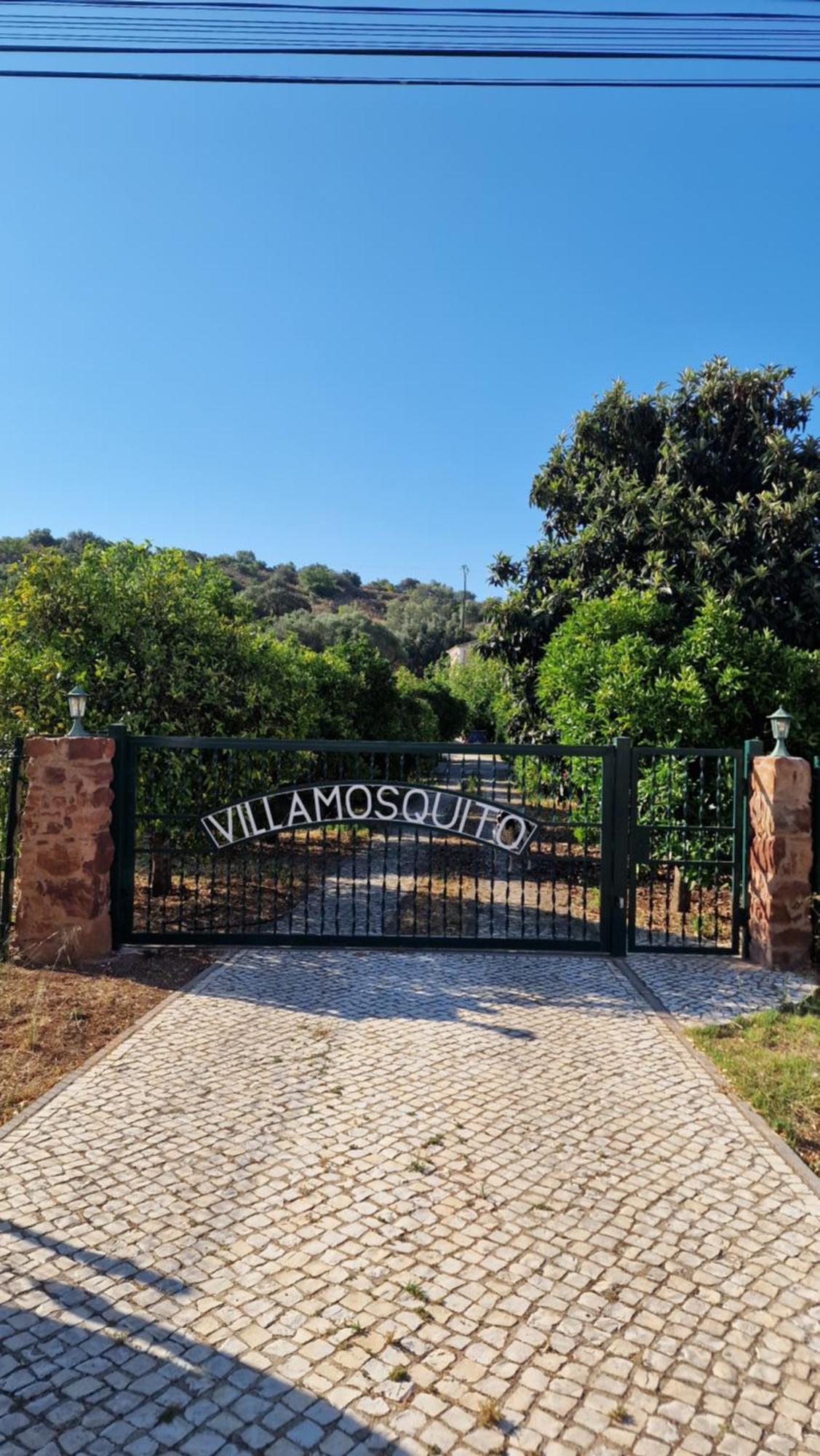 Chalet Villa Mosquito Silves Buitenkant foto