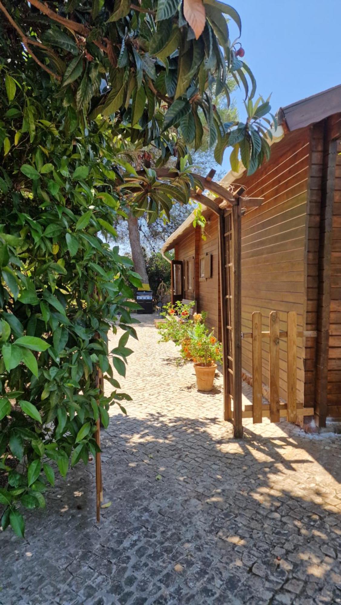 Chalet Villa Mosquito Silves Buitenkant foto