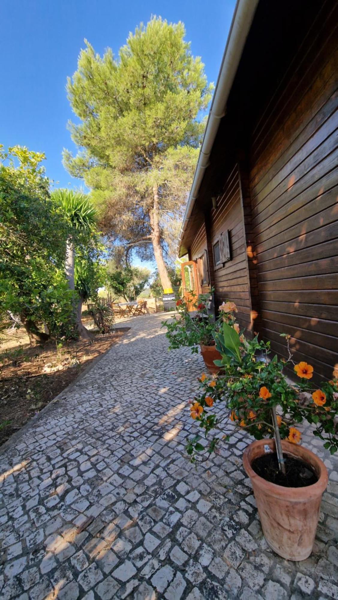 Chalet Villa Mosquito Silves Buitenkant foto