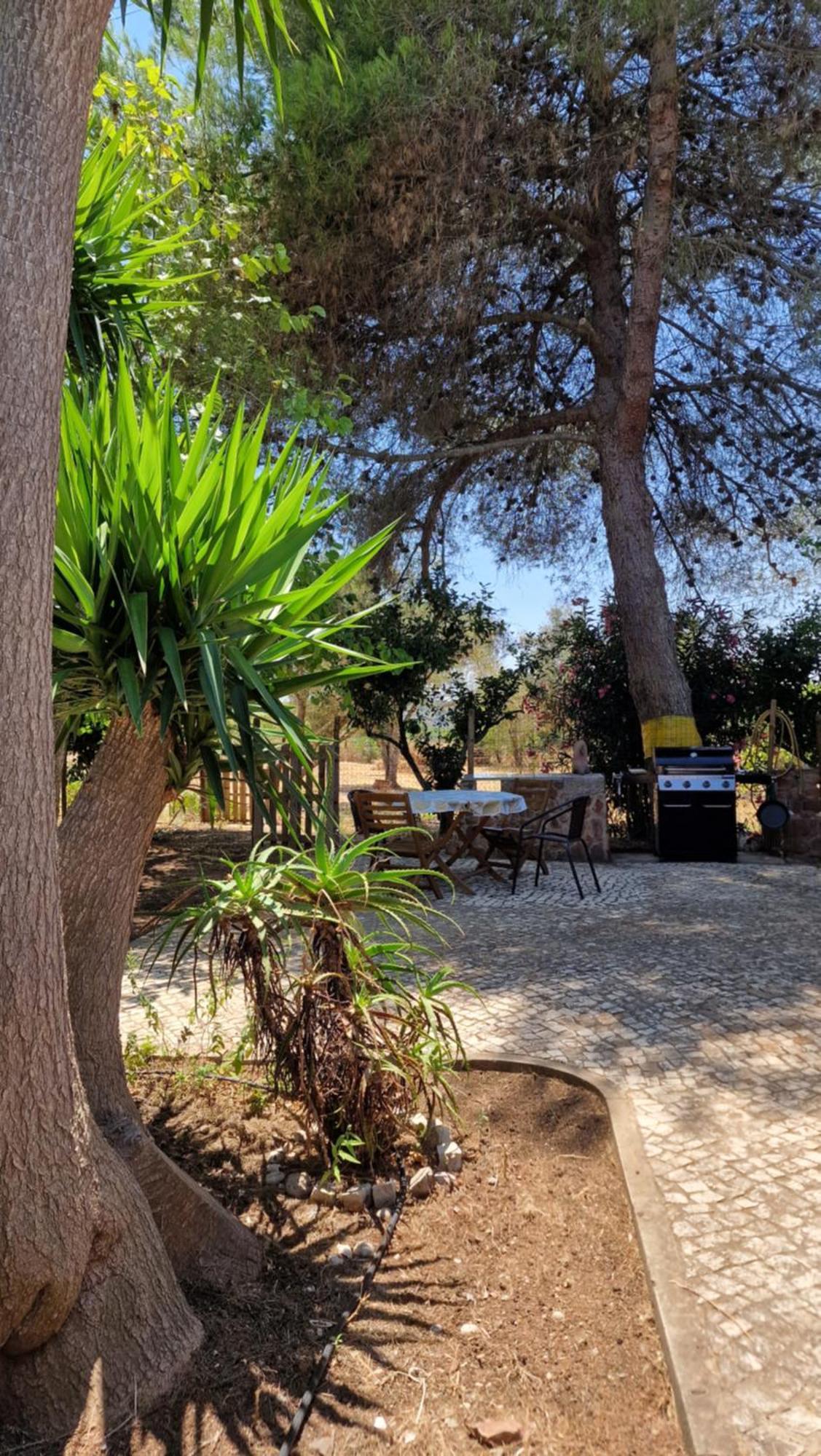 Chalet Villa Mosquito Silves Buitenkant foto