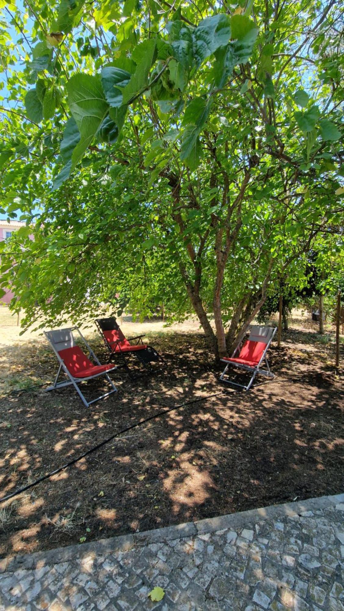 Chalet Villa Mosquito Silves Buitenkant foto