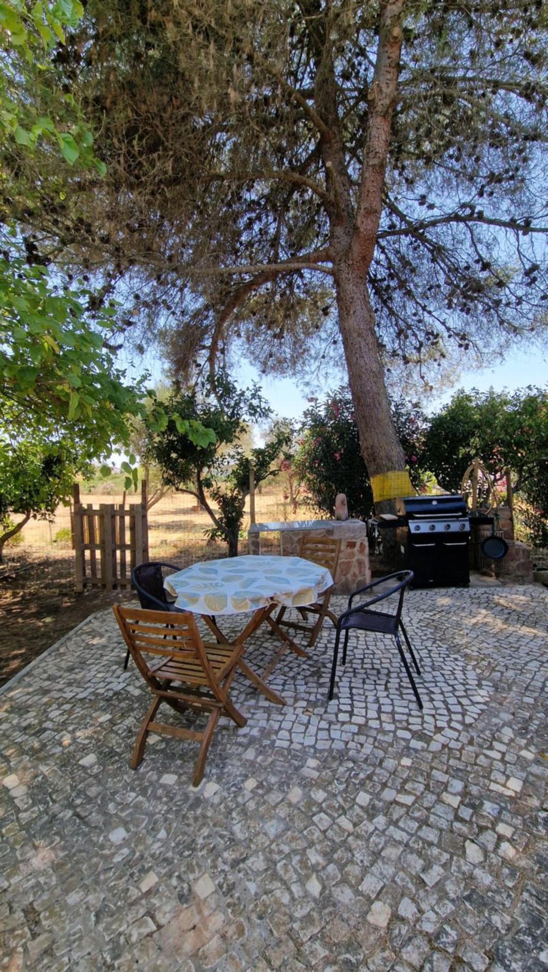 Chalet Villa Mosquito Silves Buitenkant foto