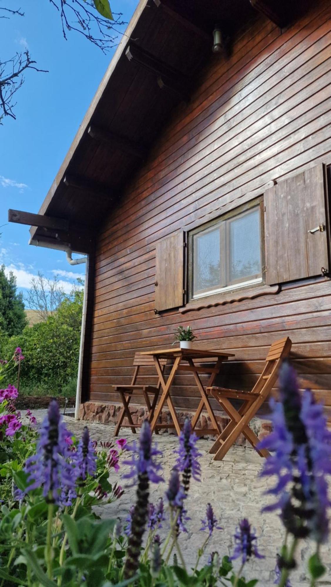 Chalet Villa Mosquito Silves Buitenkant foto